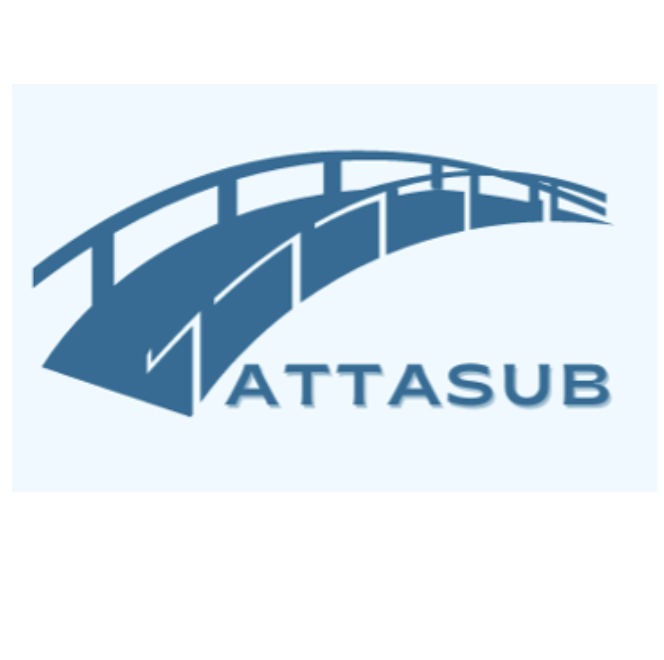 Analytical Tools and Technical Assessment for large scale Seismic Upgrade of Bridges (ATTASUB, progetto PRIN 2022)